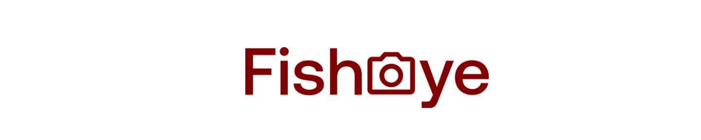Projet Fisheye